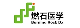 Burning Rock Biotech Ltd. (BNR)