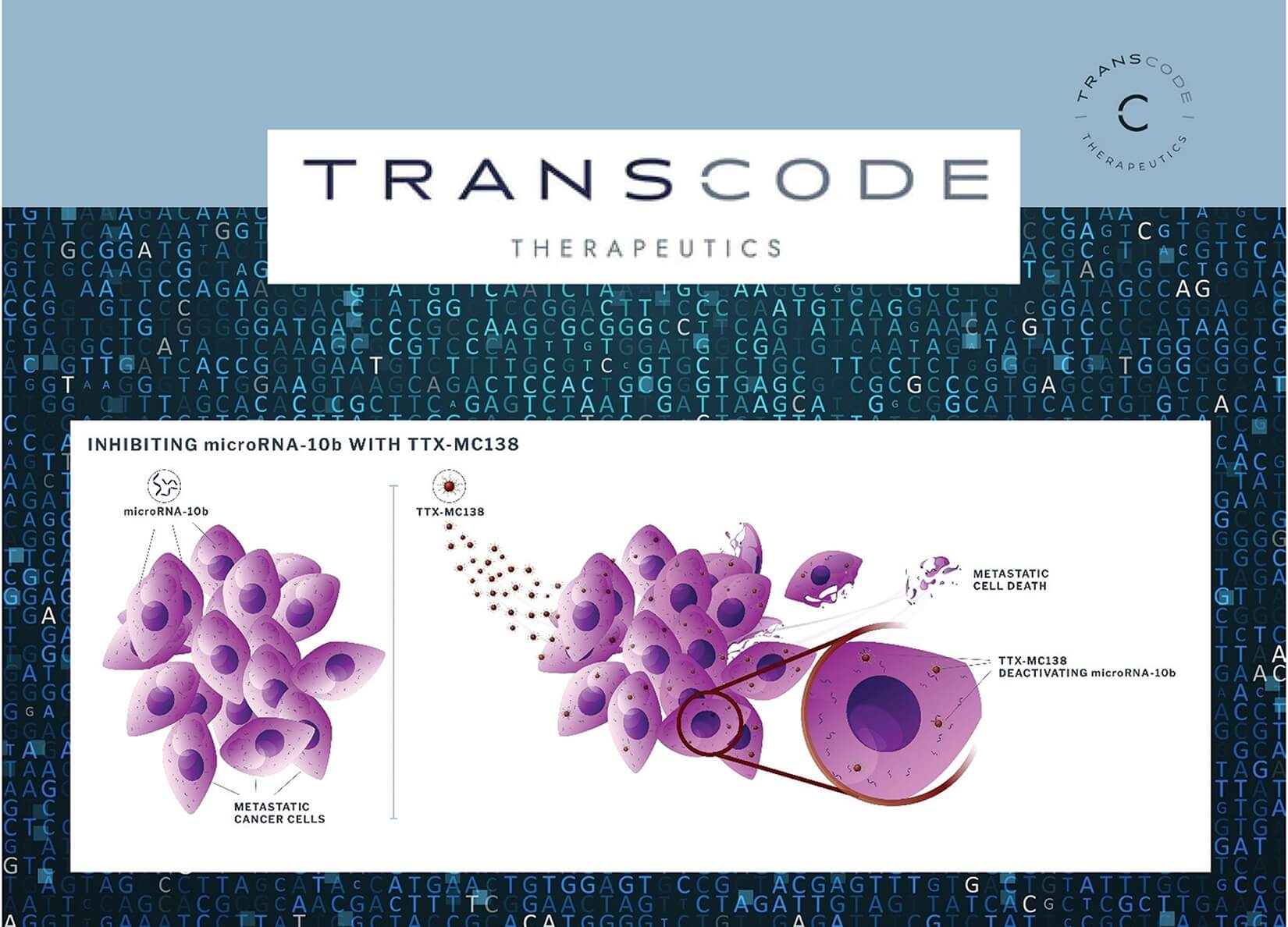 Transcode Therapeutics Inc. (RNAZ)